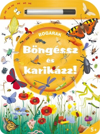 Böngéssz és karikázz! - Bogarak - Böngéssz és karikázz!