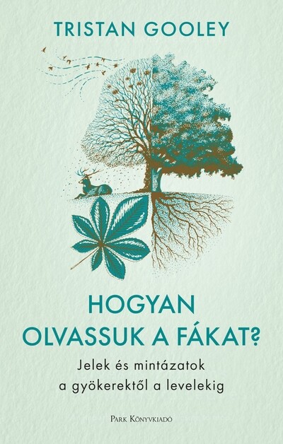 Hogyan olvassuk a fákat? - Jelek és mintázatok a gyökerektől a levelekig