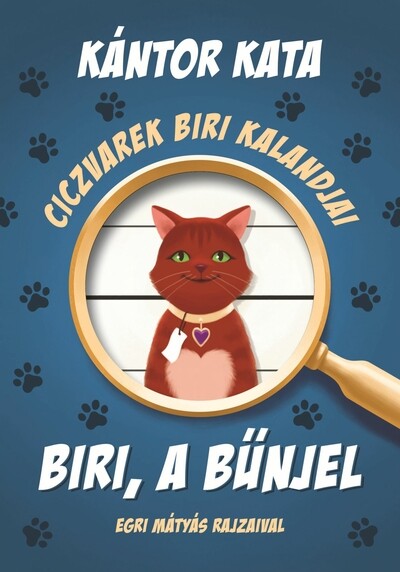 Ciczvarek Biri kalandjai - Biri, a bűnjel