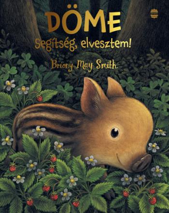 Döme - Segítség, elvesztem! 1.Kép