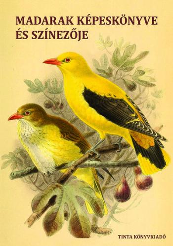Madarak képeskönyve és színezője 1.Kép