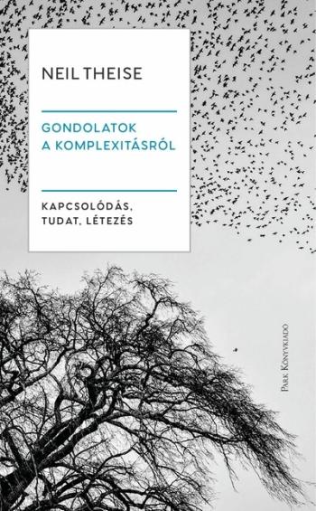 Gondolatok a komplexitásról - Kapcsolódás, tudat, létezés 1.Kép