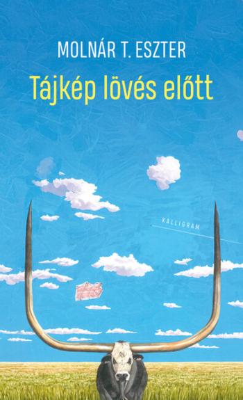 Tájkép lövés előtt 1.Kép