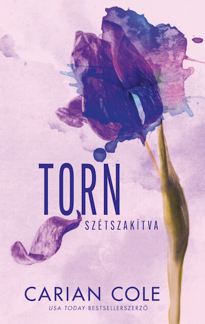 Torn - Szétszakítva (éldekorált)