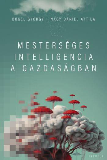 https://konyvbox.hu/media_ws/10022/2056/idx/mesterseges-intelligencia-a-gazdasagban.jpg
