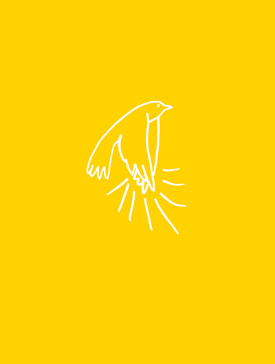 A madarak tapsolnak, amikor felszállnak - Szemlélődési példagyűjtemény