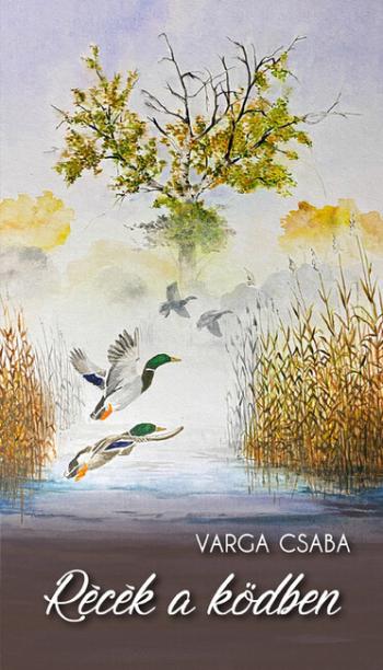 Récék a ködben 1.Kép