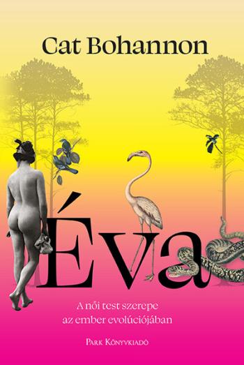 Éva - A női test meghatározó szerepe az ember evolúciójában 1.Kép