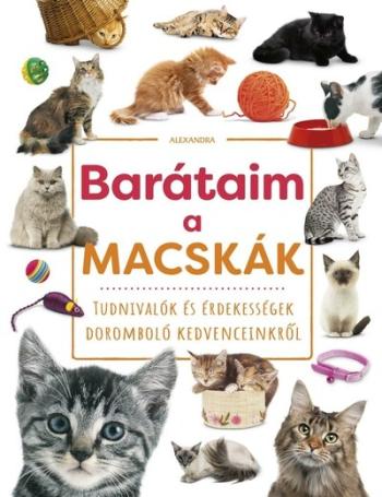 Barátaim, a macskák 1.Kép