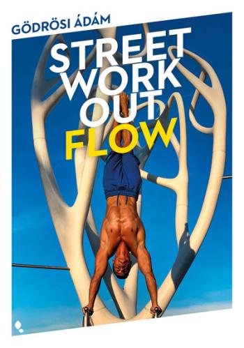 Street workout flow 1.Kép