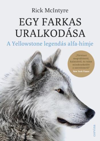 Egy farkas uralkodása - A Yellowstone legendás alfa-hímje 1.Kép