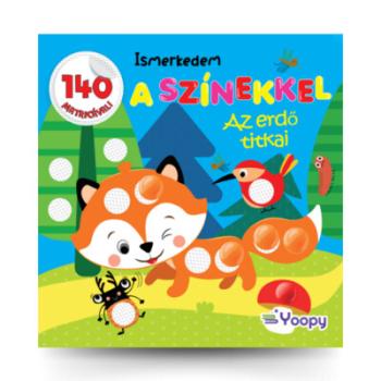 Ismerkedem a színekkel - Az erdő titkai 1.Kép