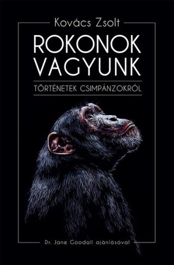 Rokonok vagyunk - Történetek csimpánzokról 1.Kép