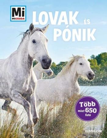 Lovak és pónik - Több mint 650 fotó - Mi MICSODA 1.Kép