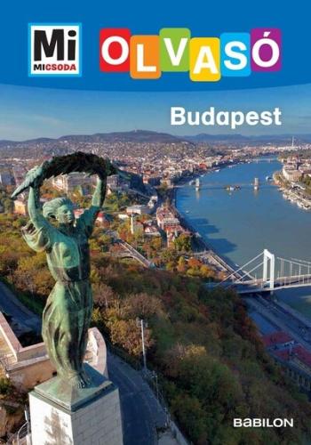 Budapest - Mi MICSODA Olvasó 1.Kép
