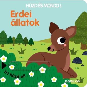 Erdei állatok - Húzd és mondd! 1.Kép