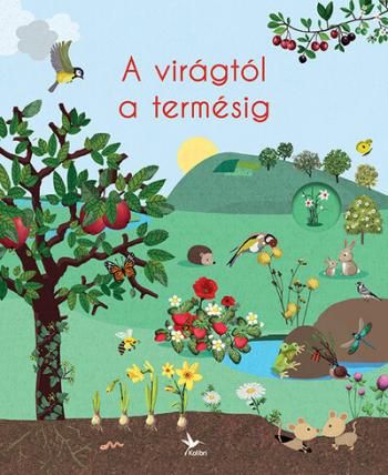 A virágtól a termésig - A természet körforgása 1.Kép
