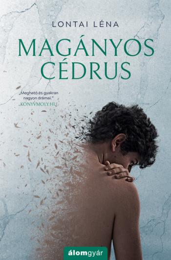 Magányos cédrus 1.Kép