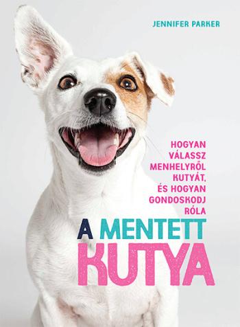 A mentett kutya 1.Kép