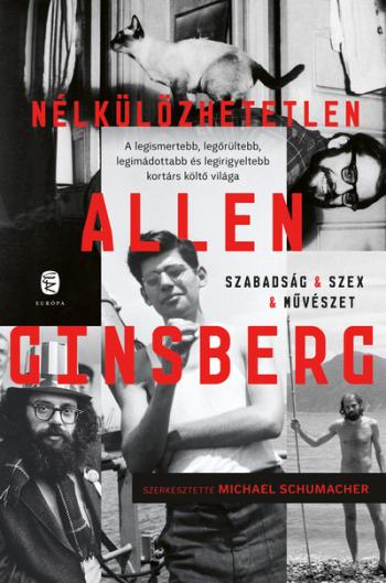 Nélkülözhetetlen Allen Ginsberg 1.Kép