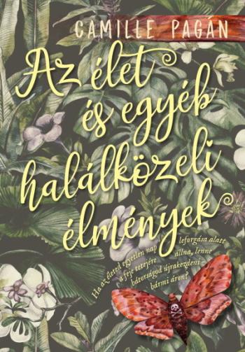 Az élet, és egyéb halálközeli élmények 1.Kép