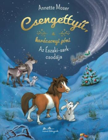 Csengettyű, a karácsonyi póni 1. - Az Északi-sark csodája §K 1.Kép
