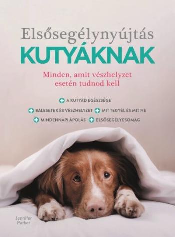 Elsősegélynyújtás kutyáknak 1.Kép