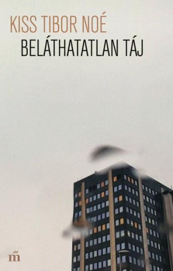 Beláthatatlan táj 1.Kép