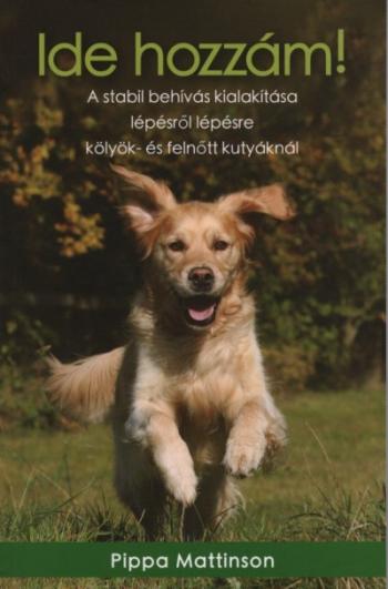 Ide hozzám! - A stabil behívás kialakítása lépésről lépésre kölyök- és felnőtt kutyáknál 1.Kép
