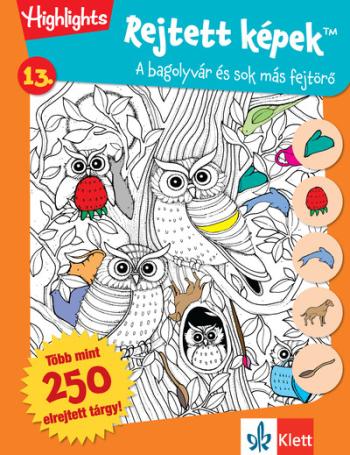 Rejtett képek 13. - Bagolyvár és sok más fejtörők 1.Kép