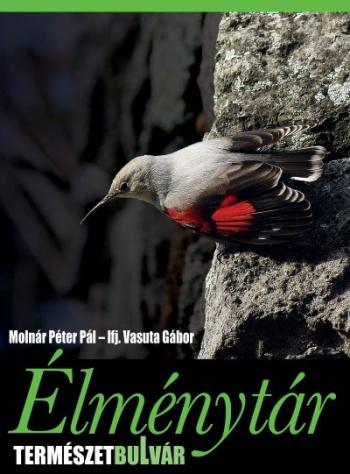 Élménytár - TermészetBulvár 1.Kép