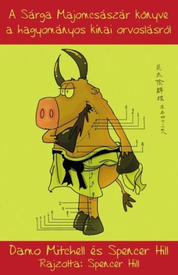 A Sárga Majomcsászár könyve a hagyományos kínai orvoslásról 1.Kép