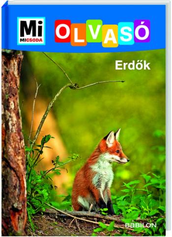Erdő - Mi MICSODA Olvasó 1.Kép