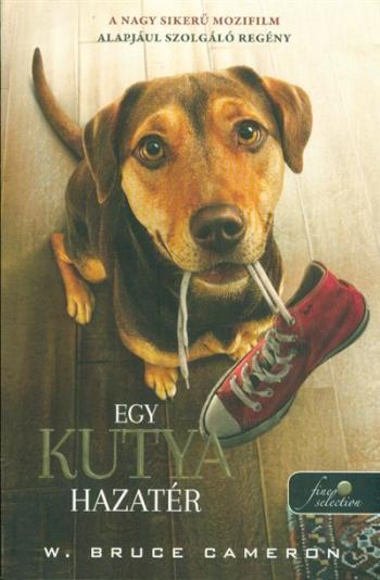 Egy kutya hazatér - Filmes borító 1.Kép