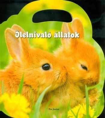 Ölelnivaló állatok 1.Kép