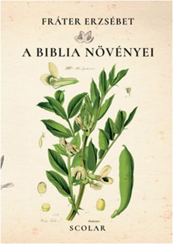 A biblia növényei 1.Kép