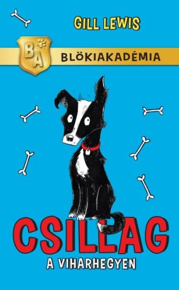 https://konyvbox.hu/media_ws/10296/2059/idx/csillag-a-viharhegyen-blokiakademia.jpg