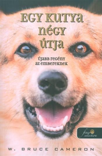 Egy kutya négy útja 1.Kép