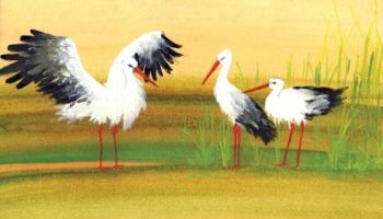 Kele /Diafilm 1.Kép