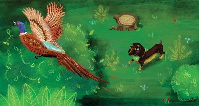 Borsi az erdőben (ringató) /Diafilm