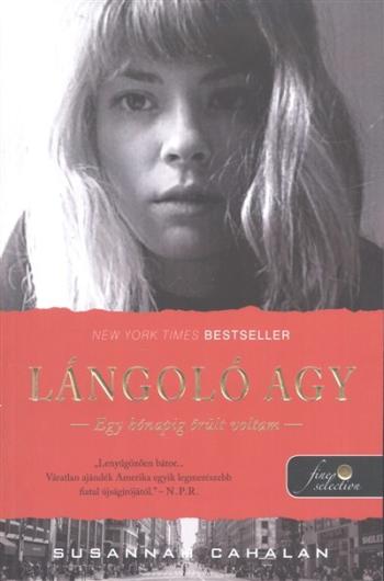 Lángoló agy /Egy hónapig őrült voltam 1.Kép