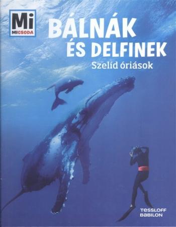 Bálnák és delfinek - Szelíd óriások /Mi Micsoda 1.Kép