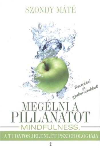 Megélni a pillanatot /Mindfulness, a tudatos jelenlét pszichológiája 1.Kép