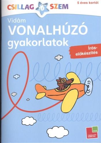 Vonalhúzó gyakorlatok: Írás előkészítés - kék /Csillagszem 1.Kép