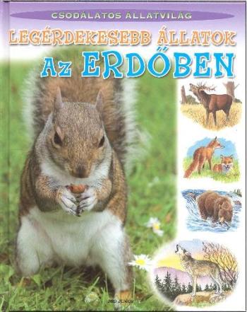 Legérdekesebb állatok az erdőben /Csodálatos állatvilág 1.Kép