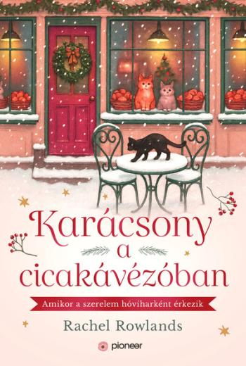 Karácsony a cicakávézóban 1.Kép
