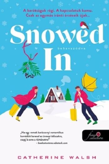 Snowed In - Behavazódva Kép