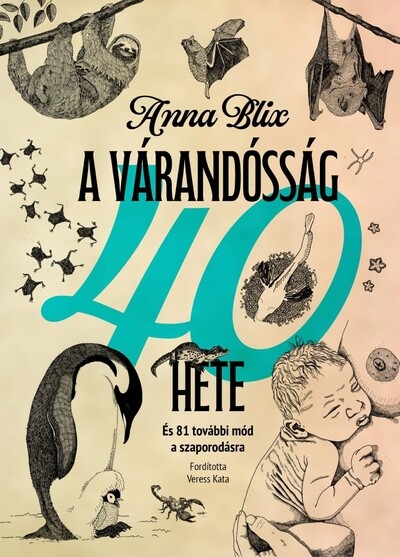 A várandósság 40 hete - És 81 további mód a szaporodásra