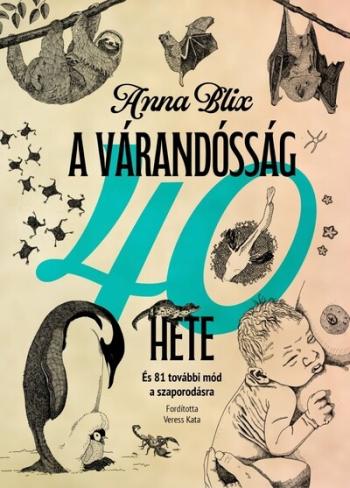 A várandósság 40 hete - És 81 további mód a szaporodásra Kép