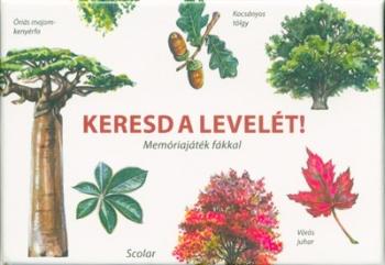 Keresd a levelét! - Memóriajáték fákkal Kép